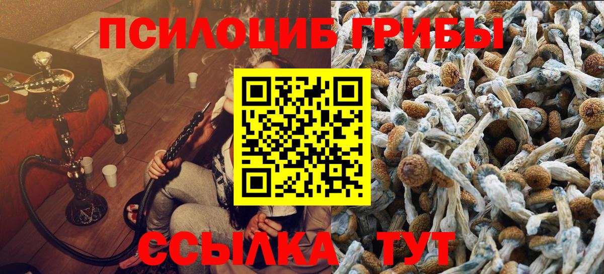 Галлюциногенные грибы MAGIC MUSHROOMS Серпухов